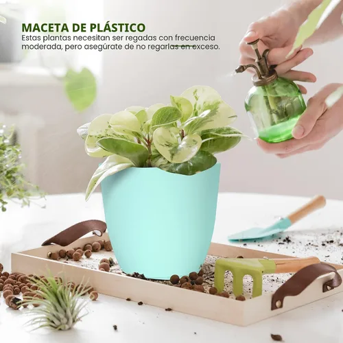 Miniatura 4 de Utopia Home - Macetas de Interior con Drenaje - Macetas de Flores de 7/6.6/6/5.3/4.8 Pulgadas para Plantas de Interior - Juego de 5 Macetas