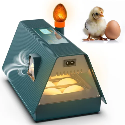 Incubadora para incubar huevos - Ideal para todas las edades - Girador automático y control de humedad - Candler integrado - 10 huevos - Okkobi M10