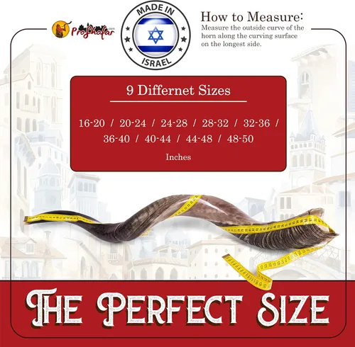 Miniatura 3 de Juego de Shofar Kudu Kosher medio pulido de Israel, más bolsa, certificado kosher firmado oficialmente, cuerno de shofar hecho en Israel