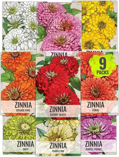 Miniatura 13 de Seed Needs - Semillas de Capuchina para Plantar Flores Comestibles - Juego de Colección de Mezcla Joya y Capuchinas de Doble Brillo para Atraer