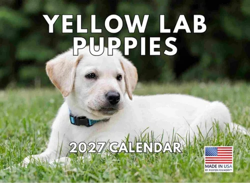 Miniatura 106 de Calendario de pared mensual 2025 Great Dane de 12 meses, fabricado en Estados Unidos