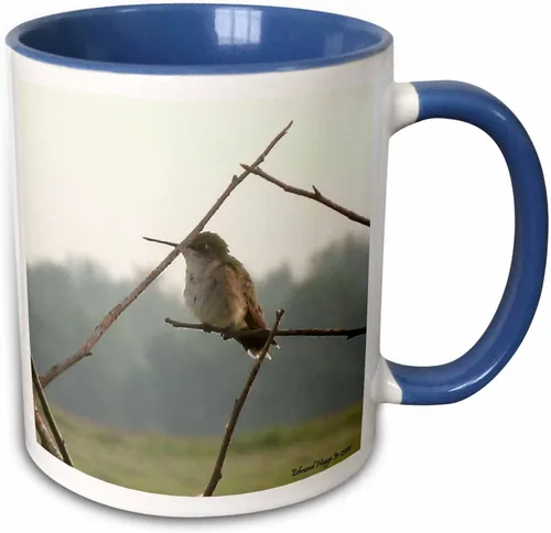 Miniatura 11 de 3dRose Female Hummingbird 11oz Two-Tone Black Mug