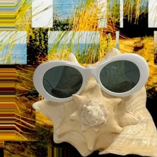 Miniatura 5 de Auténticas gafas de sol Clout Bold Oval Retro Mod Moda Gafas de sol Clout lente redonda