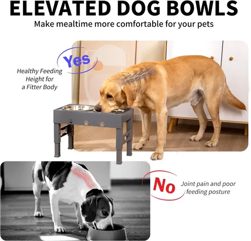 Miniatura 4 de Cuencos elevados para perros con 2 cuencos de acero inoxidable, soporte ajustable de 5 alturas (3.1 pulgadas, 9 a 12 pulgadas), para una mejor Gris
