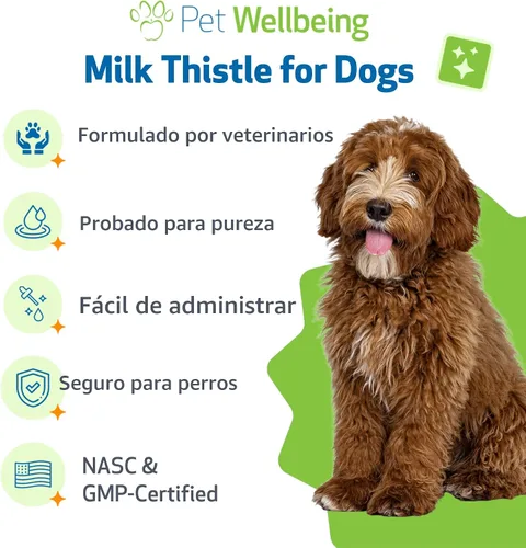 Miniatura 5 de Pet Wellbeing Cardo Mariano para Perros - Cardo Mariano Orgánico, Apoya la Función Hepática Saludable y la Desintoxicación - Certificado NASC
