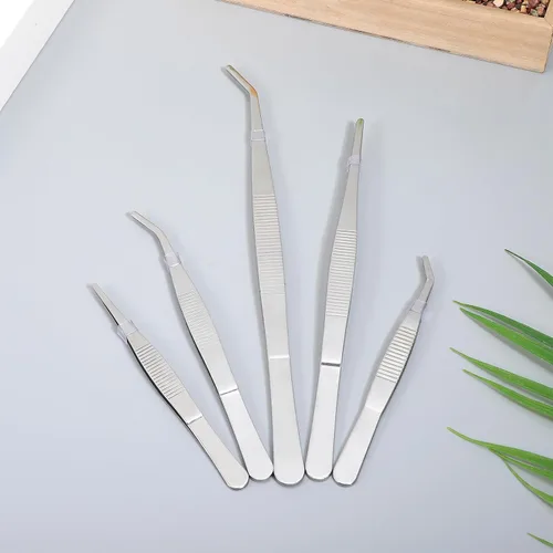 Miniatura 4 de jojofuny 5pcs Succulent Gardening Tweezers Stainless Steel Plant Transplanting Tools for Seedlings Flower Succulent Care Lightweight Portable Hand