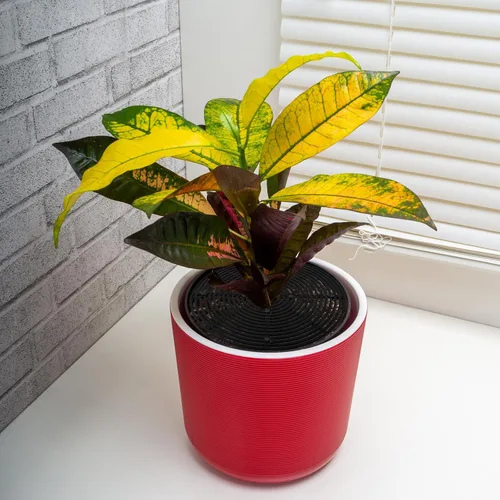 Miniatura 5 de Newtay 2 fundas protectoras de suelo para macetas, protectores de flores cortables contra animales, gatos, ardillas, tapones para excavar plantas