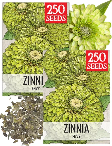 Miniatura 49 de Seed Needs California Giants - Semillas de zinnia – 250 semillas tradicionales para plantar Zinnia elegans – Cultiva flores anuales polinizadas