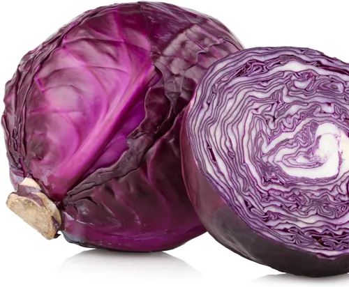 Miniatura 2 de Col Red Acre 500 Semillas (Brassica oleracea) Sin OGM - Heirloom - Polinizado abierto