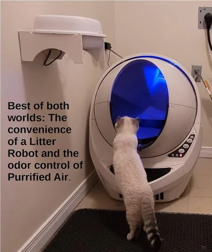 Miniatura 8 de Filtro de aire purificado para caja de arena de aire, para gatos, hurones y vehículos recreativos, diseñado para eliminar el olor y el polvo, medios