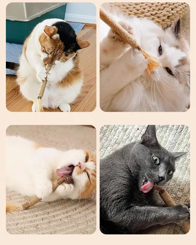 Miniatura 6 de Tocirelo Juguetes Masticables para Gatitos para la Dentición - Paquete de 6 Palitos Naturales de Silvervine para Gatos, Juguete de Plumas de Gato