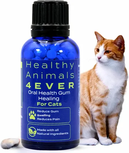 HA4E - Salud oral para gatos - Alivia la inflamación, alivia el dolor y combate la enfermedad de las encías - Natural, sin OMG, orgánico, sin gluten