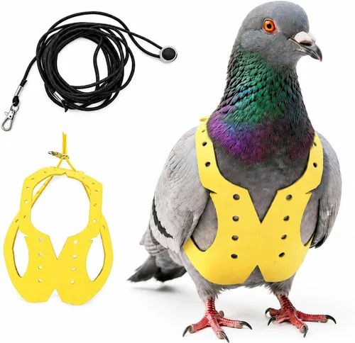 Miniatura 30 de Juego de arnés ajustable y correa para pájaros pequeños, apto para periquitos, conures, cacatúas, mejillas verdes, loros cuáqueros (verde, XS) 6350-6