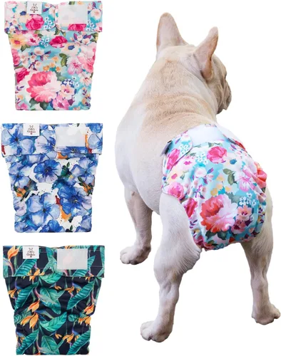 CuteBone Pañales para perros sin agujero en la cola, paquete de 3 pantalones de entrenamiento para cachorros WWD04L