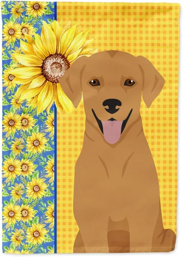 Miniatura 291 de Caroline's Treasures WDK5331CHF - Bandera de verano con diseño de girasoles rojos y blancos, manga grande, para porche, para colgar en la pared