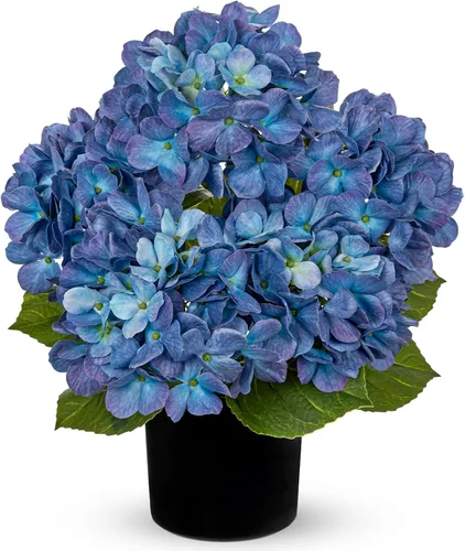 Miniatura 15 de Hollyone Flores artificiales de hortensias azules en maceta, flores grandes de seda de tres cabezas, arreglos florales falsos para interiores