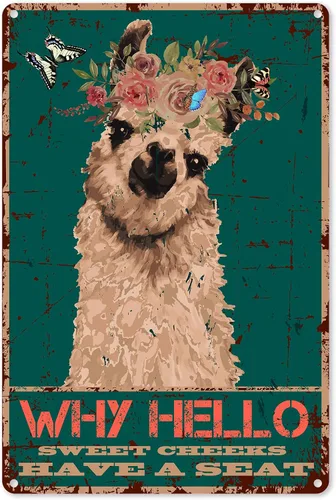 Cartel de metal divertido con cita de baño, decoración de pared – Cartel vintage de «Why Hello Sweet Cheeks Have A Seeks Have A Seeks Have A Seat)