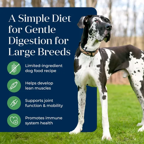 Miniatura 3 de Blue Buffalo Basics Alimento seco para perros adultos de raza grande sin granos para el cuidado de la piel y el estómago, dieta de ingredientes