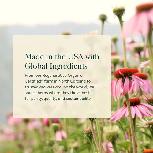 Miniatura 4 de Gaia Herbs Aceite de semilla negra – Cápsulas prensadas en frío con semillas de Nigella tradicionalmente usadas para apoyo pulmonar, respiratorio