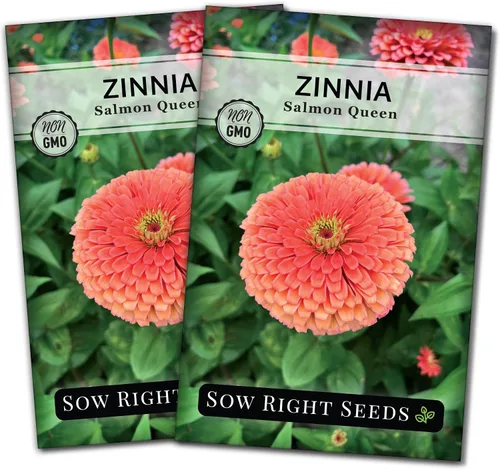 Miniatura 6 de Sow Right Seeds - Semillas de zinnia Salmon Queen para plantar - Paquete de reliquia sin OMG para plantar y cultivar un jardín de flores en el hogar