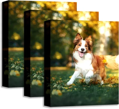 Miniatura 8 de YK artwood Lienzo Personalizado Subir Imágenes 12x16 pulgadas - Impresiones de Lienzo Personalizadas con Tus Fotos - Cuadros de Lienzo
