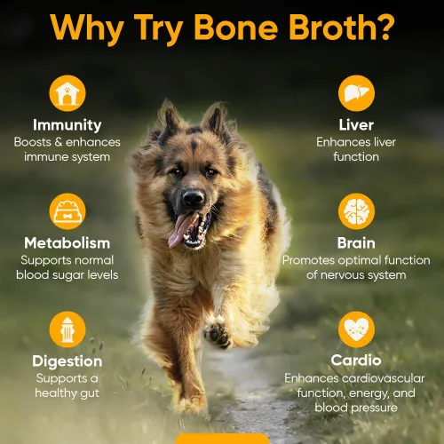 Miniatura 3 de iHeartDogs Caldo de huesos y colágeno para perros, caldo de huesos y hongos en polvo dorado para apoyo del sistema inmunológico, movilidad