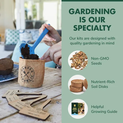 Miniatura 7 de Kit de principiantes de semillas de árbol Bonsai, Mini juego de cultivo de plantas Bonsai, 4 tipos de semillas, macetas, tijeras de podar