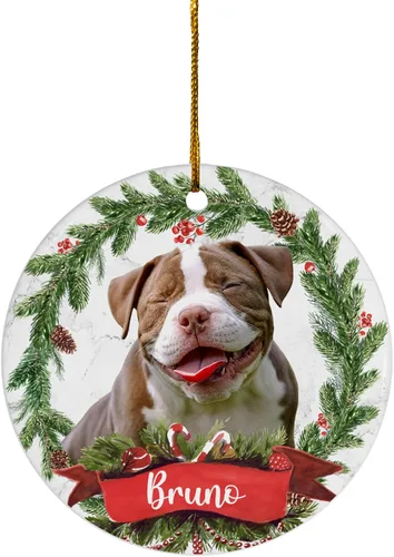 Miniatura 29 de FLOCHIL Adornos de Navidad Personalizados para Gatos Adornos de Navidad Personalizados con Foto y Nombre para Árboles de Navidad, Adornos de Navidad
