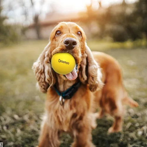 Miniatura 4 de Pelotas para perros indestructibles, de goma sólida para perros masticadores agresivos, de razas grandes, no tóxicas, flotantes y de alta Bolas