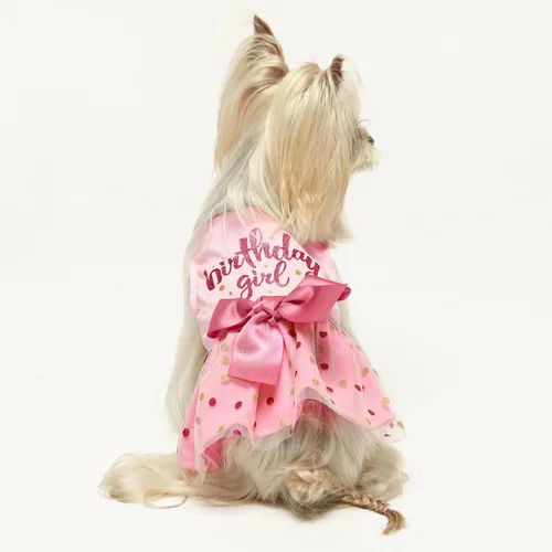 Miniatura 5 de Vestido de Tul para Perros Fitwarm Cumpleaños Niña, Ropa para Perros Pequeños Niña, Ropa para Gatos, Rosa, Pequeño