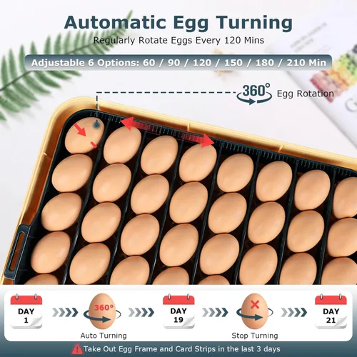 Miniatura 7 de Incubadoras para incubar huevos, incubadora de 56 huevos con ovoscopio, volteador automático de huevos, control de temperatura y humedad, día