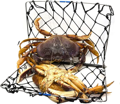 Miniatura 5 de AirFly Foldable Castable Crab Trap - Crab Hawk & Crab Jaw Star Trap with Bait Clip - Portable Fishing Rod Crab Pot for Blue Crabs & Dungeness