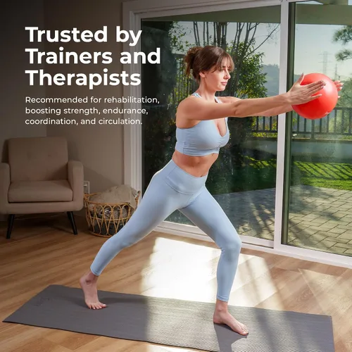 Miniatura 7 de Sunny Health & Fitness Pelota de ejercicio antiestallidos de alta calidad para fuerza central, yoga, pilates, barra, terapia física, equilibrio