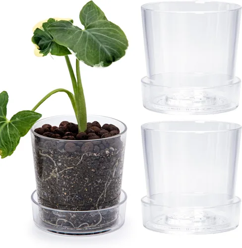 Miniatura 9 de Phoenix Vine Maceta de acrílico transparente de 3.5 pulgadas con bandeja, maceta de orquídeas con agujeros de drenaje, platillo profundo para riego