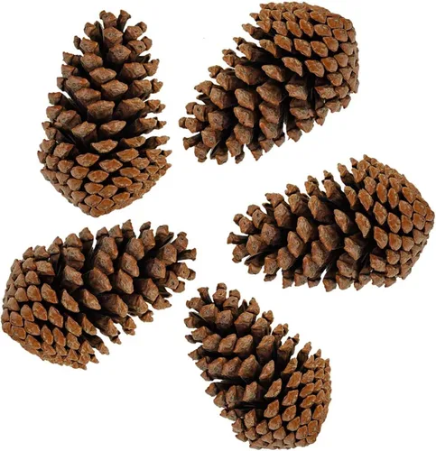 PineCones - Paquete alto a granel, totalmente naturales, piñas grandes y piñas de pino naturales perfectas para adornos colgantes de Navidad (3-4.3
