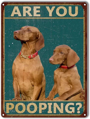 Miniatura 9 de LIUAXICIA Letreros divertidos de hojalata con texto en inglés "Dog are You Pooping", decoración de pared para baño, baño, decoración para amantes