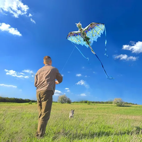 Miniatura 2 de Mint's Colorful Life Cometa de dragón para niños y adultos, fácil de volar, las mejores cometas de playa para principiantes, cuerda de cometa de 300