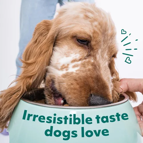 Miniatura 4 de Optimeal Paquete variado de alimentos húmedos para perros de razas pequeñas, receta sin granos, bocados tiernos con alto contenido de proteínas