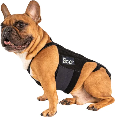 Soporte de espalda para perro – Soporte de columna vertebral ajustable para IVDD, artritis y recuperación poscirugía – Ligero, duradero y aprobado