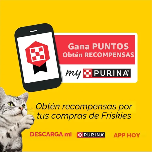 Miniatura 11 de Purina Friskies - Paquete variado de alimentos húmedos para gatos, Oceans of Delight en copos y filetes Prime (paquete de 40), latas de 5.5 onzas