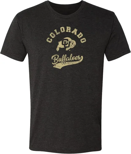 Miniatura 28 de UGP Campus Apparel AS11 - Camiseta Triblend Retro Script