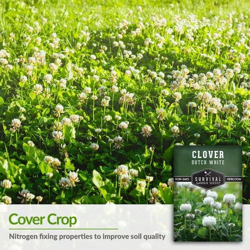 Miniatura 3 de Semillas de trébol blanco holandés para plantar, cubierta de suelo floreciente para céspedes polinizadores, control de erosión y suelo fijador