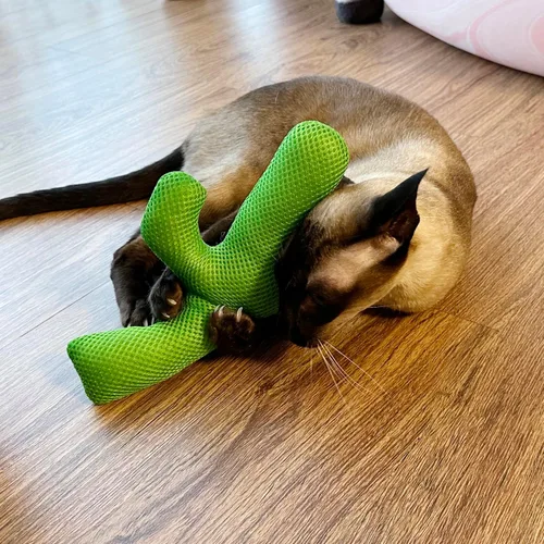 Miniatura 5 de TTcat Almohada Matatabi de hierba gatera Silvervine para gatos y gatitos, juguete grande de cactus para gatos, juguete masticable para gatos