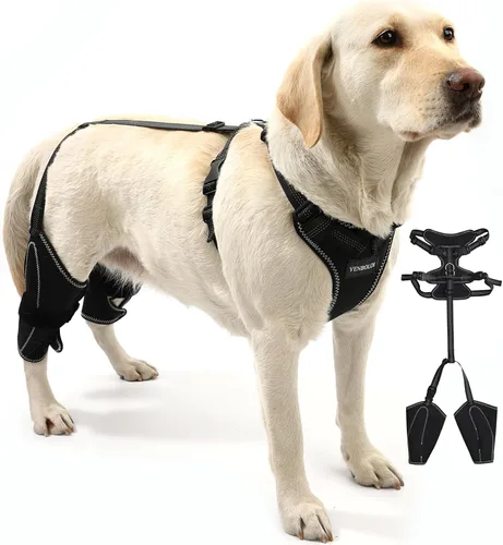 Rodillera para perro para pierna trasera de acl desgarrada para apoyo con lesiones de ligamento cruzado, rótula luxante, artritis, rodillera de acl