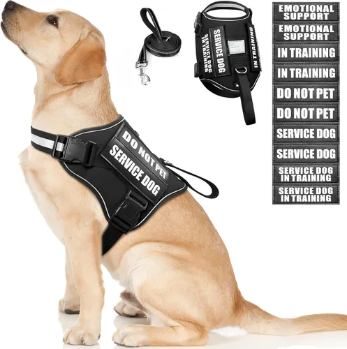 Miniatura 18 de Juego de arnés y correa para perro de servicio, chaleco de entrenamiento para perros con 10 parches para perros, arnés y chaleco para perros de Azul
