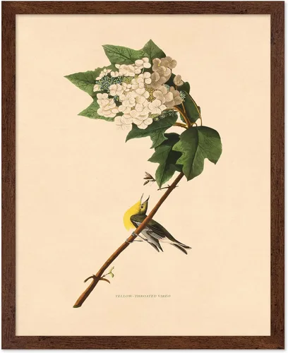 Miniatura 15 de Poster Master Póster Vintage de Plantas Cultivadas - Impresión Botánica Retro - Arte de Flores - Arte de Plantas - Regalo para Hombres y Mujeres