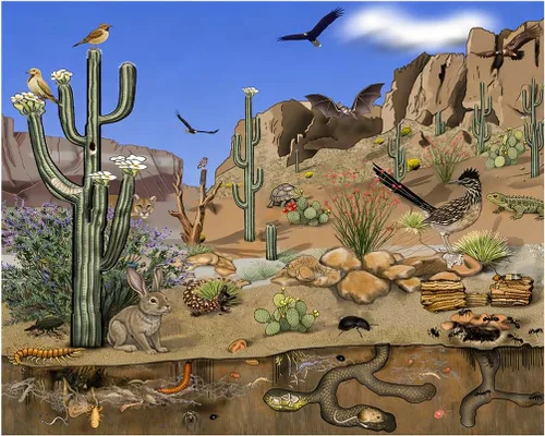 Miniatura 12 de Fondo Escénico de Animales Polares Grande Banner Estudio Fotografía Fondo de cabina de fotos 7x6feet #2190