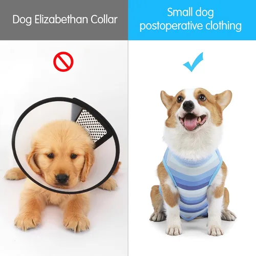 Miniatura 5 de Coppthinktu Traje de recuperación para perros, mameluco para cirugía, traje de recuperación de cirugía para perros pequeños y medianos, collar