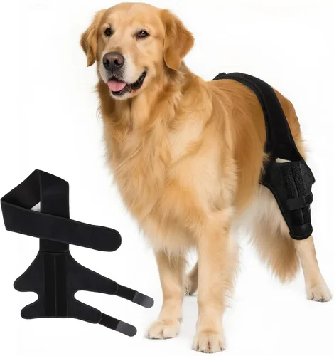 Rodillera para perro para pierna trasera desgarrada del ACL, soporte ajustable para cadera de perro para pierna trasera con estabilizadores
