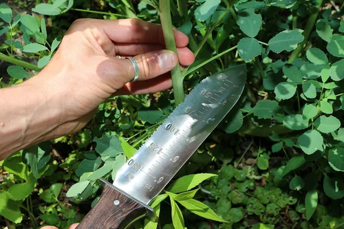 Miniatura 6 de Hori Hori - Cuchillo japonés de jardinería prémium - Cuchillos de jardín de espiga completa con funda de cuero